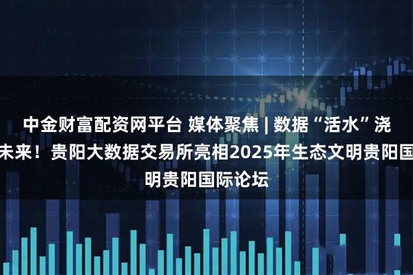 中金财富配资网平台 媒体聚焦 | 数据“活水”浇灌绿色未来!贵阳大数据交易所亮相2025年生态文明贵阳国际论坛