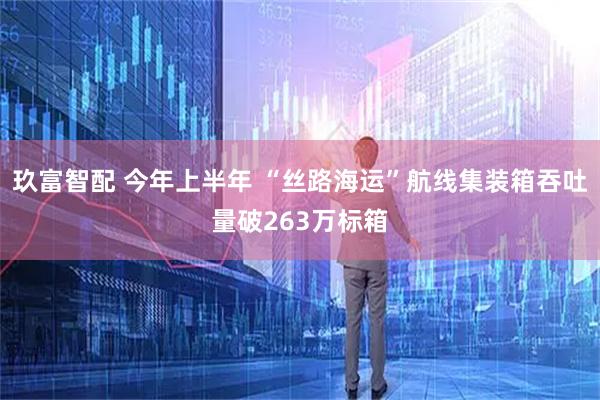 玖富智配 今年上半年 “丝路海运”航线集装箱吞吐量破263万标箱