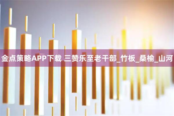 金点策略APP下载 三赞乐至老干部_竹板_桑榆_山河