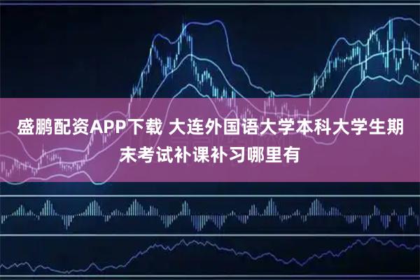 盛鹏配资APP下载 大连外国语大学本科大学生期末考试补课补习哪里有