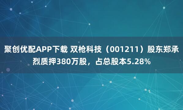 聚创优配APP下载 双枪科技（001211）股东郑承烈质押380万股，占总股本5.28%