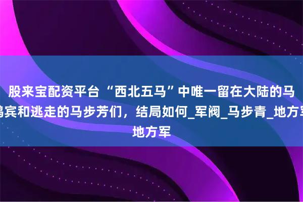 股来宝配资平台 “西北五马”中唯一留在大陆的马鸿宾和逃走的马步芳们，结局如何_军阀_马步青_地方军
