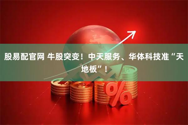 股易配官网 牛股突变！中天服务、华体科技准“天地板”！